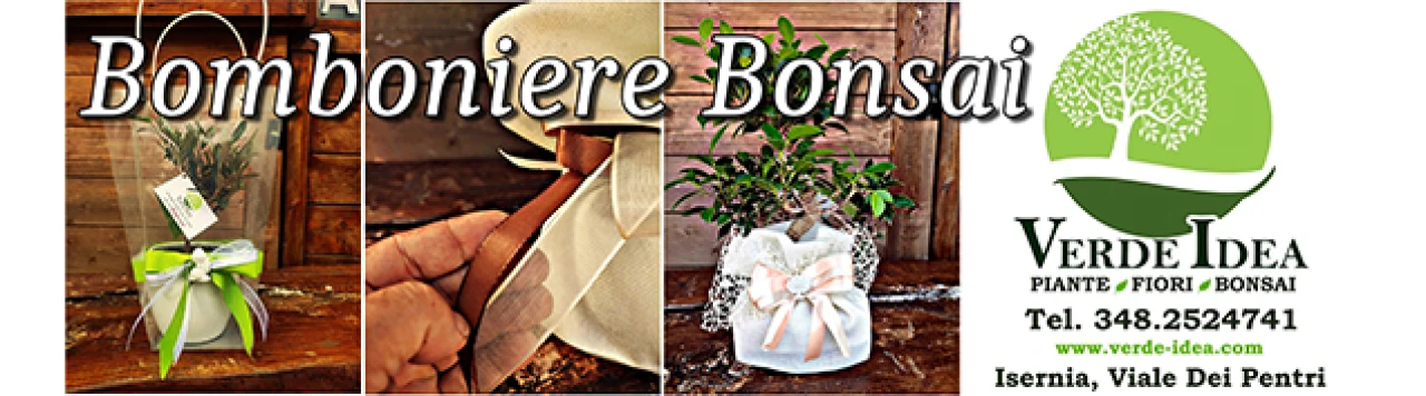 Banner Verde Idea Bomboniere Bonsai 636 per 177 pixel